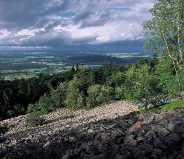 goloborze-fot_Peczalski